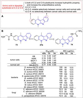 Comprehensive review of α-carboline alkaloids: Natural products, updated synthesis, and biological activities